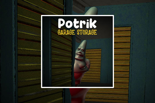 Potrick Garage Storage