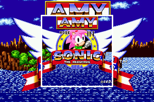 Amy Rose in Sonic the Hedgehog