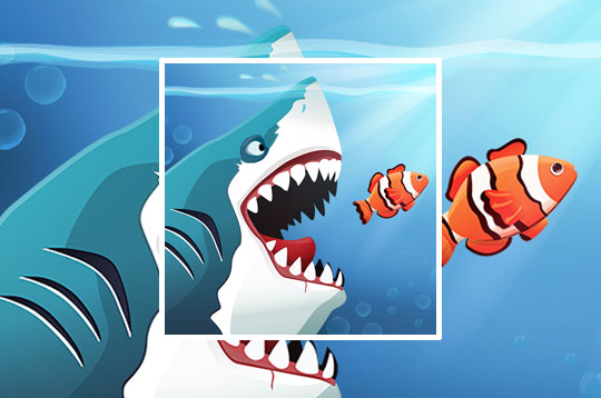 Angry Sharks