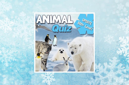 Animal Quiz