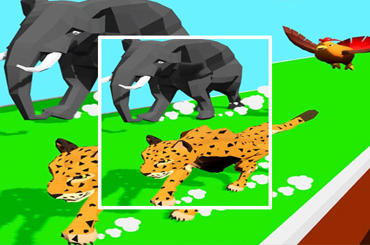 Animal Transform Race 3D