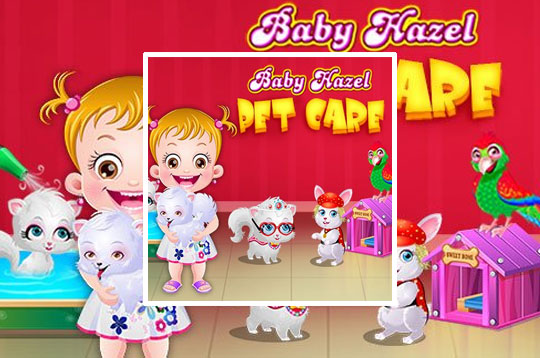 Baby Hazel Pet Care