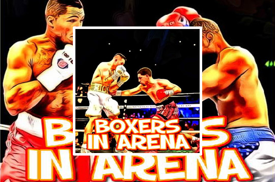 Boxers In Arena