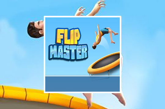 Flip Master