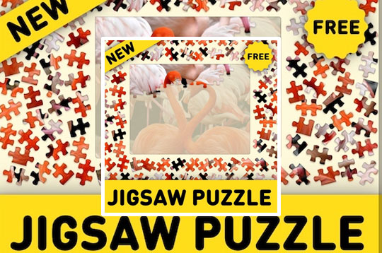 Jigsaw Puzzle