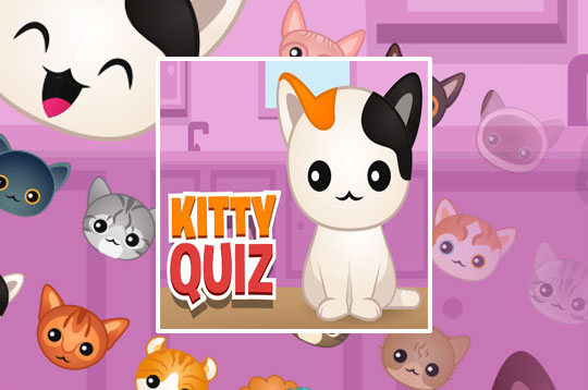 Kitty Quiz