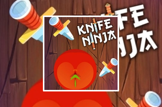 Knife Ninja