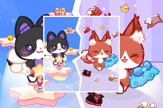 Lovely Cat Pet Life