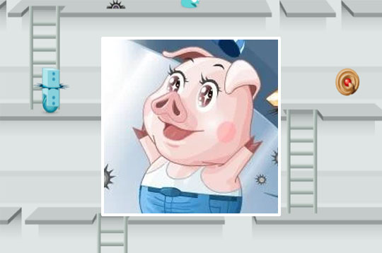 Mr. Pig