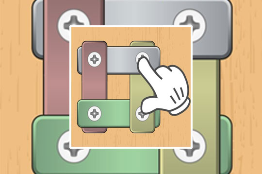 Nuts and Bolts Screw Puzzle