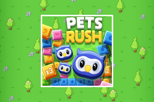 Pets Rush