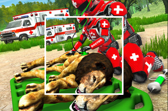 Real Doctor Robot Animal Rescue