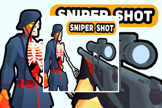 Sniper Shot: Bullet Time