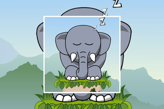 Snoring Elephant