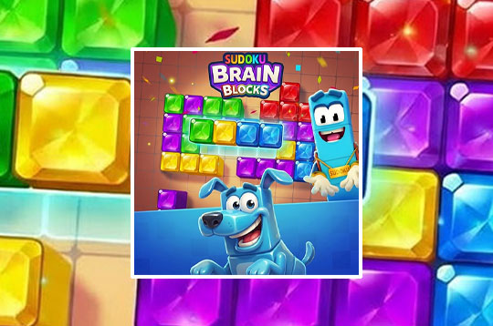 Sudoku Brain Blocks