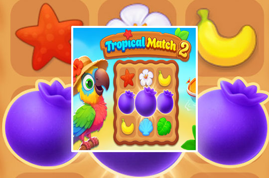 Tropical Match 2
