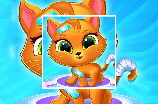 Funny Cat Makeover - Jogue Funny Cat Makeover Jogo Online