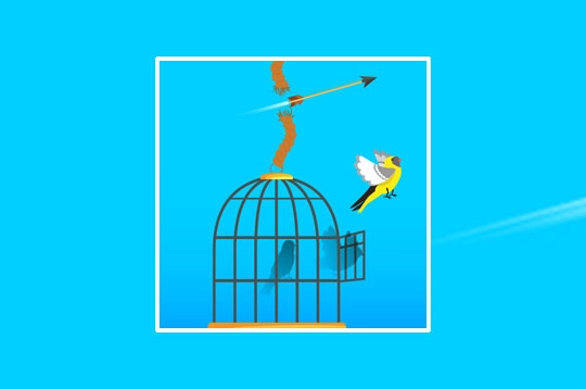 Free Birds