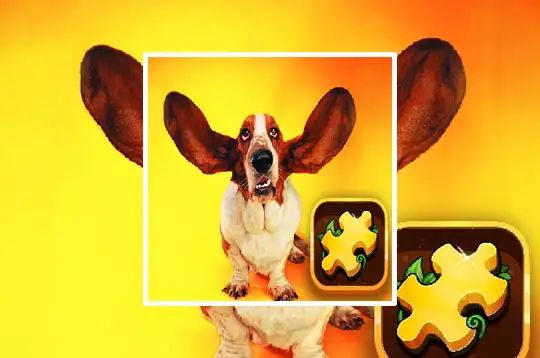 Funny Dogs Puzzle