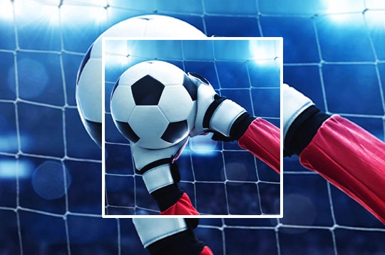 Goalkeeper Premier