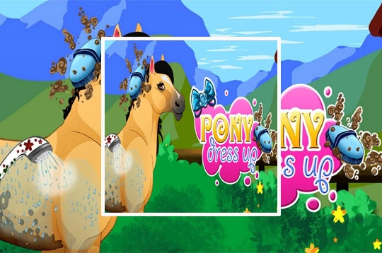 Pony Dress Up