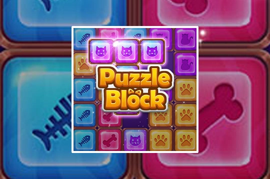 Puzzle Block em Jogos na Internet