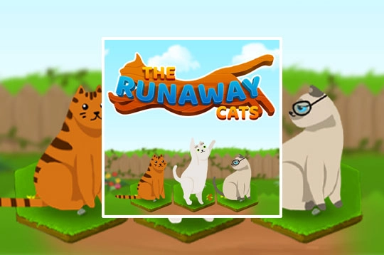 The Runaway Cats